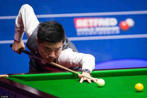 新的活力 新的活力